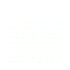 freekie Freekie is de huisfotograaf van de familie Kloot. Nog wel want er staat hem nog een lange gevangenisstraf te wachten voor de foto's die hij gemaakt heeft van iets te jonge meisjes. Dat was nog niet alles want hij plaatste die ook nog op zijn site www.klikeensinmijngaatje.nl.